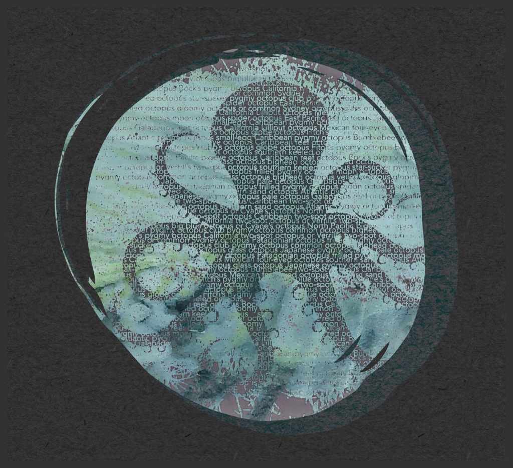 All the Octopuses / Katy Wimhurst